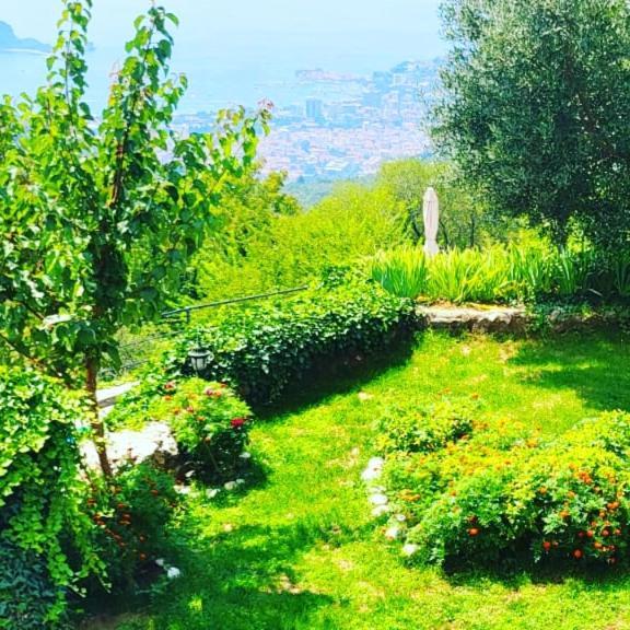Villa Nera Budva Dış mekan fotoğraf